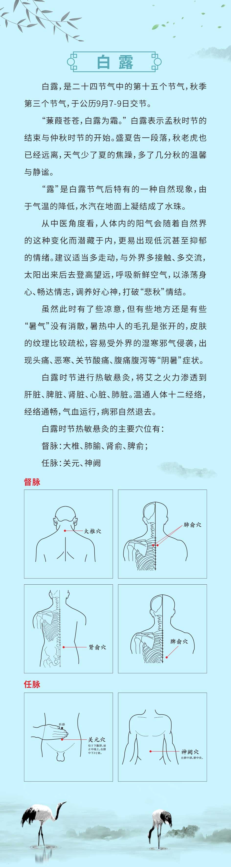 白露3.jpg