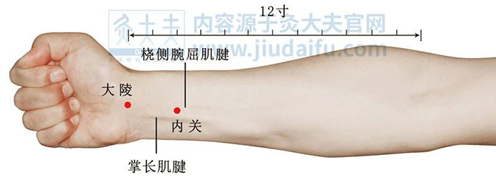 13.jpg