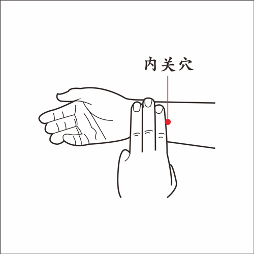 内关穴.jpg