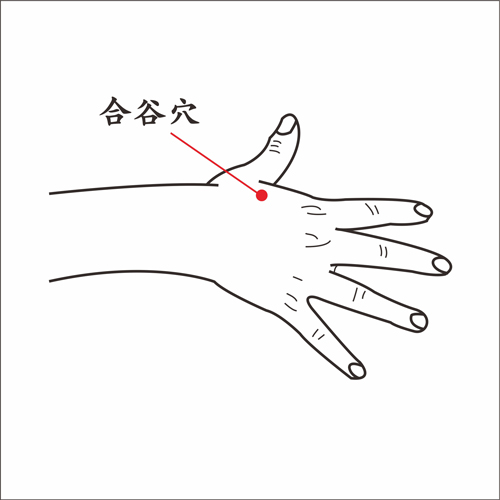 合谷穴.jpg