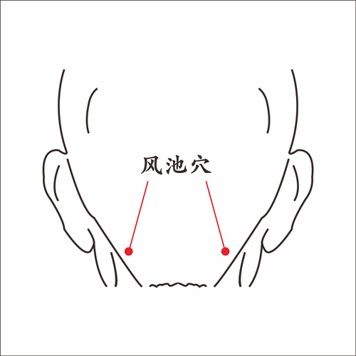 风池穴.jpg