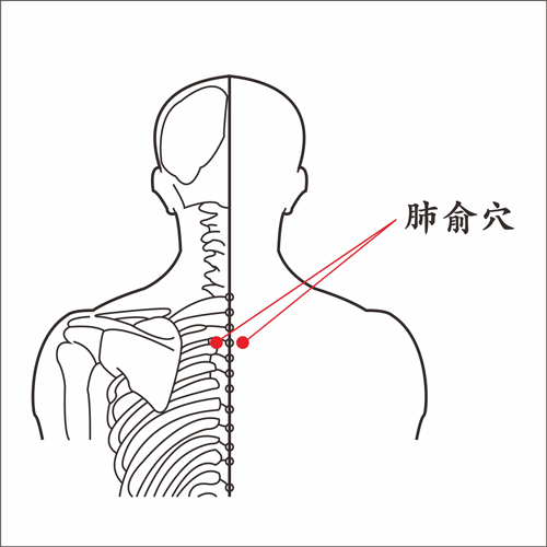 肺俞穴.jpg
