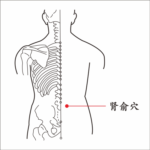 肾俞穴.jpg