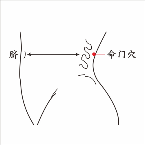 命门穴.jpg