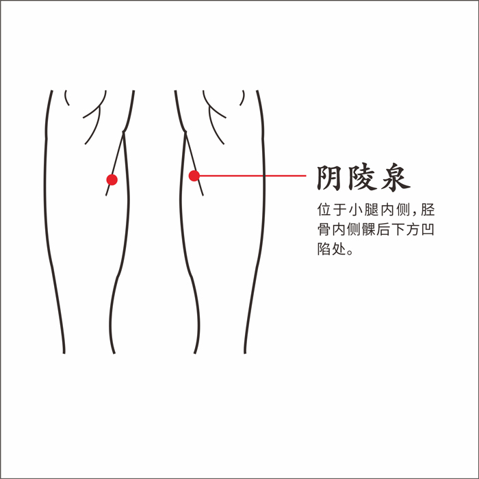 阴陵泉.jpg